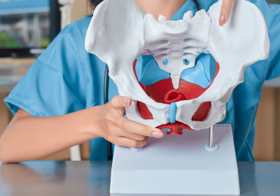 Teoretisk kurs: Klinisk bedömning av bäckenbottens funktion efter förlossning