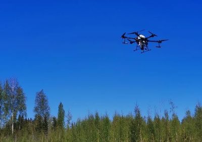 Stora drönare i skogen!