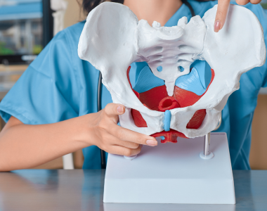 Teoretisk kurs: Klinisk bedömning av bäckenbottens funktion efter förlossning