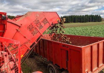 Betodlardag i Vasa 12.8