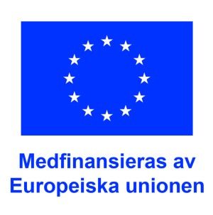 Workshop: Kommunicera smart och h&aring;llbart p&aring; sociala medier