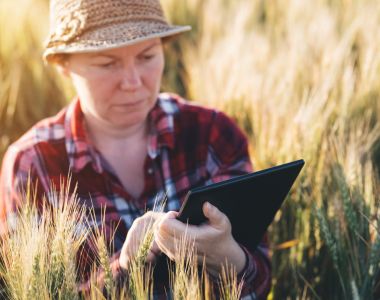 Grundkurs i ekologisk odling. Dag 1. Produktionsvillkor, kalkylering att lägga om till eko & Ekoträdgårdsproduktion