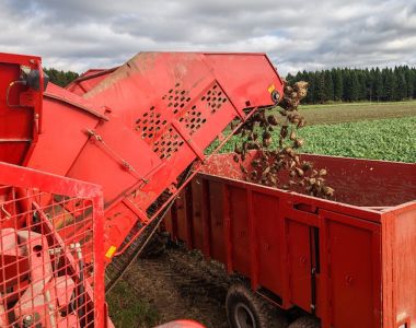 Betodlardag i Vasa 12.8