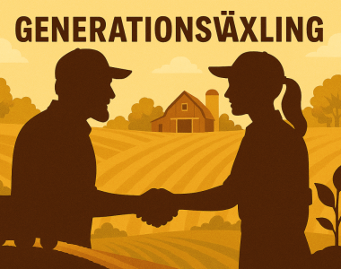 Generationsv&auml;xlingskurs, N&auml;rpes 2026